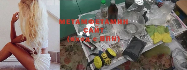 сатива Костерёво