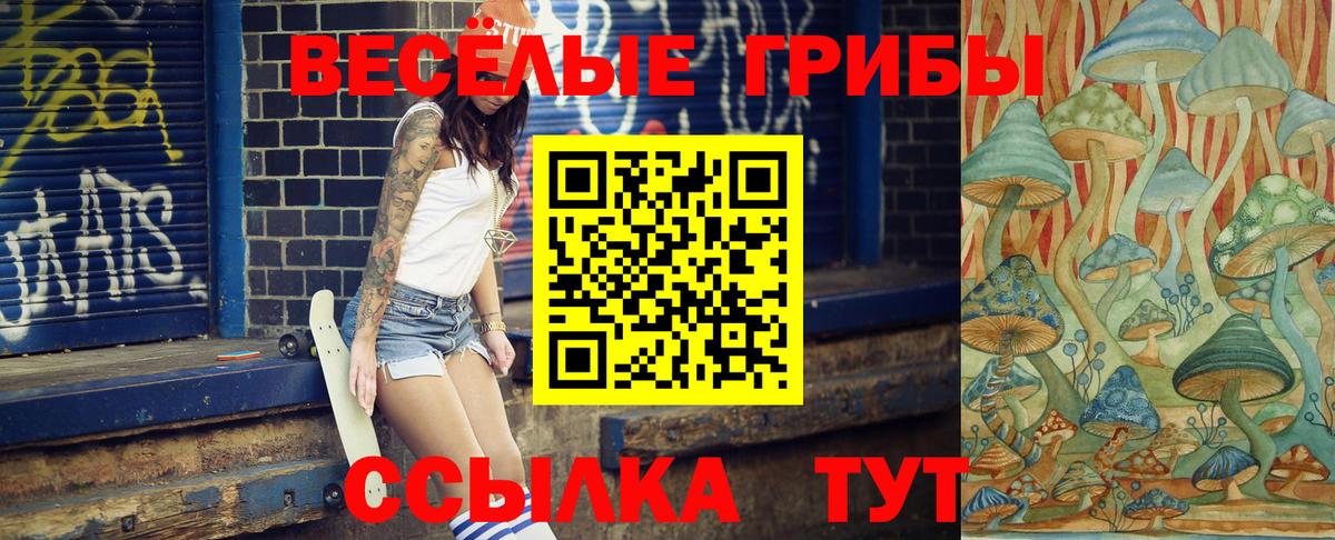 Галлюциногенные грибы GOLDEN TEACHER Петровск