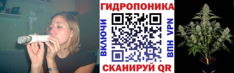 Бошки марихуана Ganja Петровск